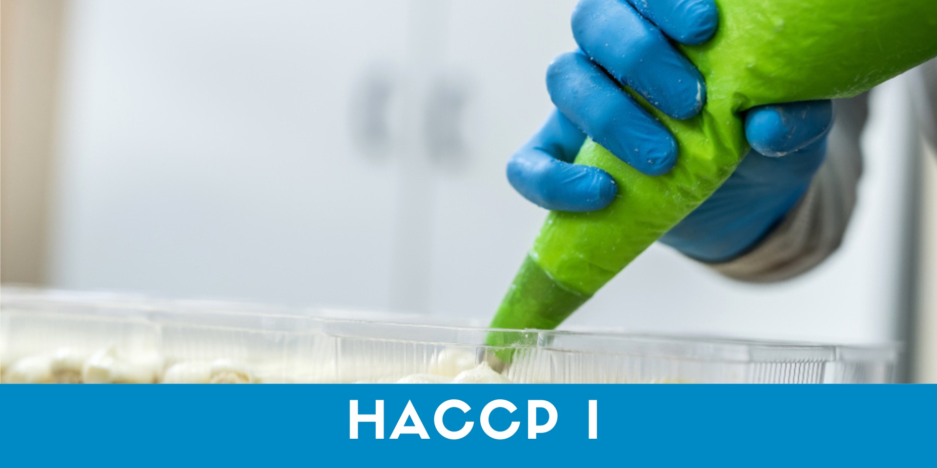 HACCP I : Introduction à la sécurité des aliments et du HACCP (RSAC)